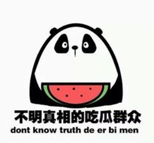 网上吃瓜什么意思