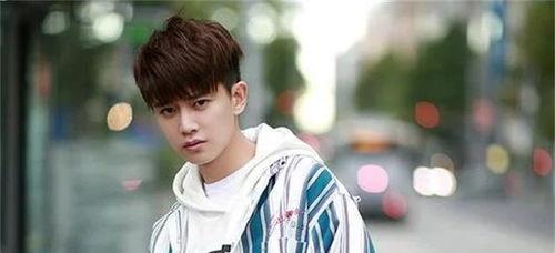 娱乐吃瓜蜀黍任嘉伦,娱乐吃瓜蜀黍的星光璀璨之路