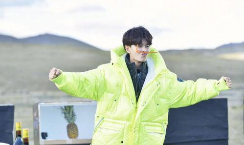 任嘉伦吃瓜娱乐,揭秘明星幕后趣事